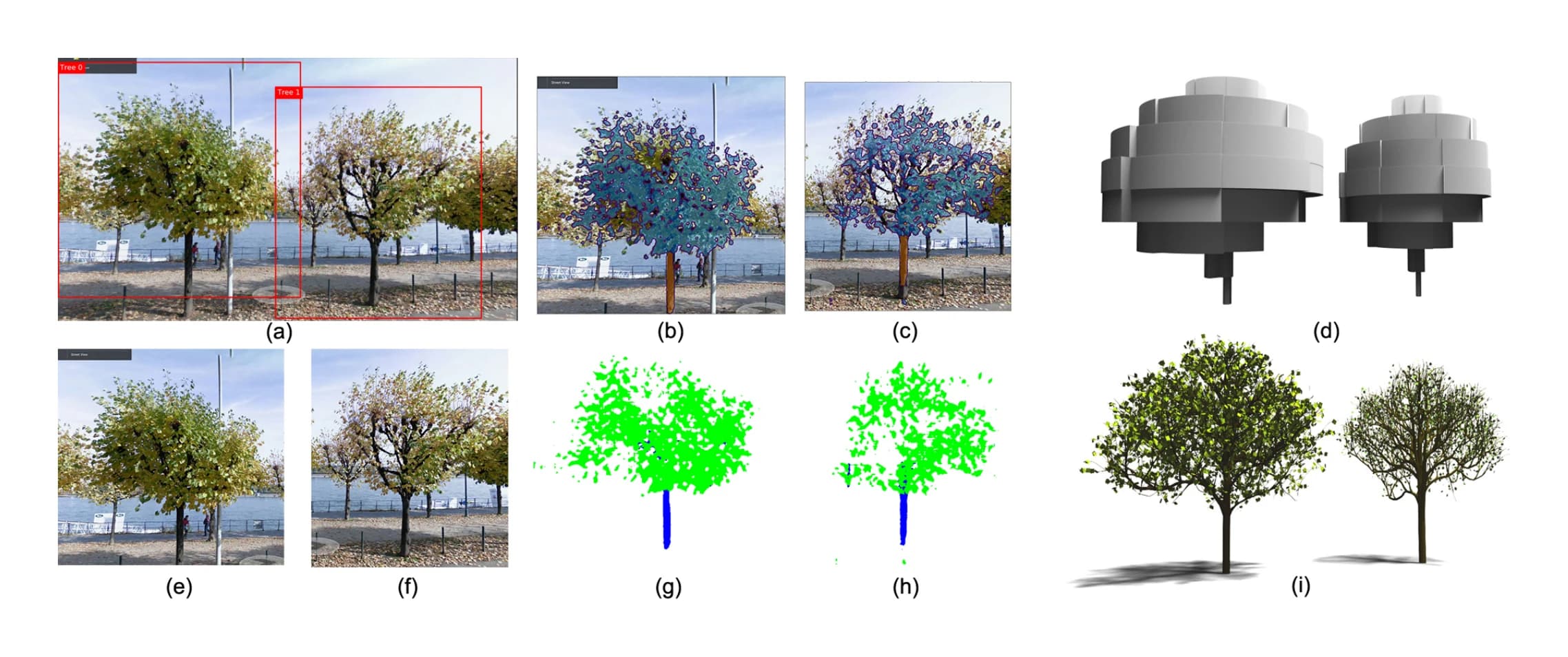Several trees in one photo: detect each tree, segment it, then reconstruct them individually. Figure: Li et al., “Learning to Reconstruct Botanical Trees from Single Images”, ACM TOG 2021.