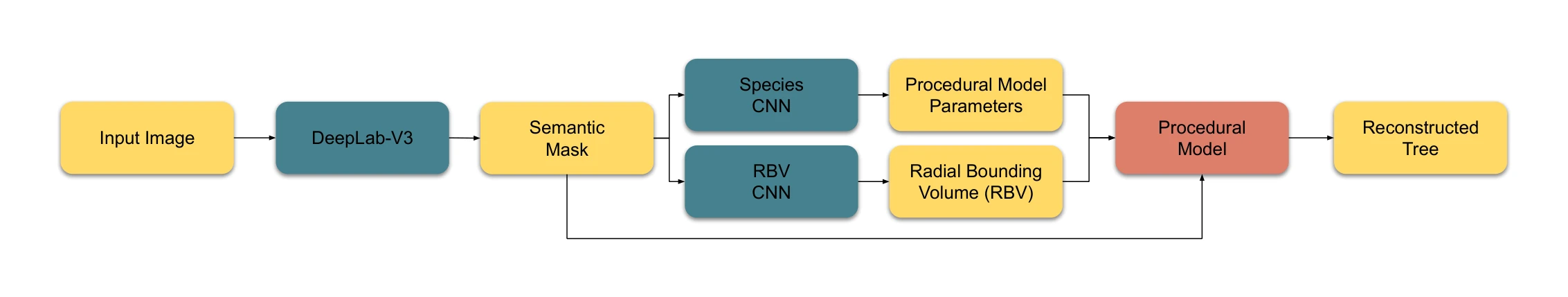 The pipeline: segment the photo, predict species and a 3D volume, then grow a procedural tree inside it. Figure: Li et al., “Learning to Reconstruct Botanical Trees from Single Images”, ACM TOG 2021.